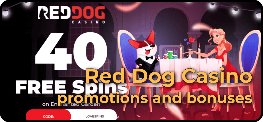 General info about the casino Red Dog