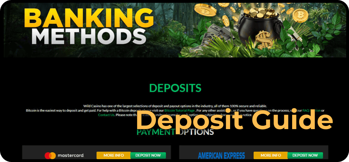Wild Deposit Guide 