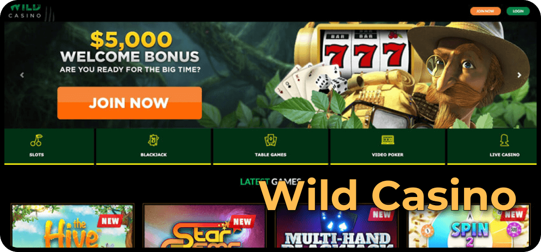 Wild Casino Online Gambling Website — Full Manual